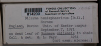 Image Associated With the Occurrence